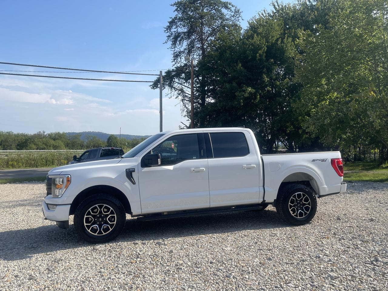 Ford F-150 XLT 4WD SuperCrew 5.5' Box 2022