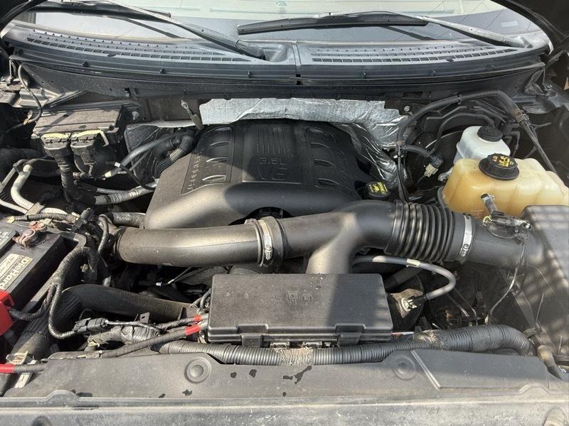 Ford F-150 XL SuperCrew 5.5-ft. Bed 4WD 2012