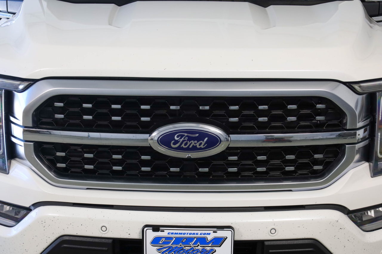 2023 Ford F-150 Platinum photo 13