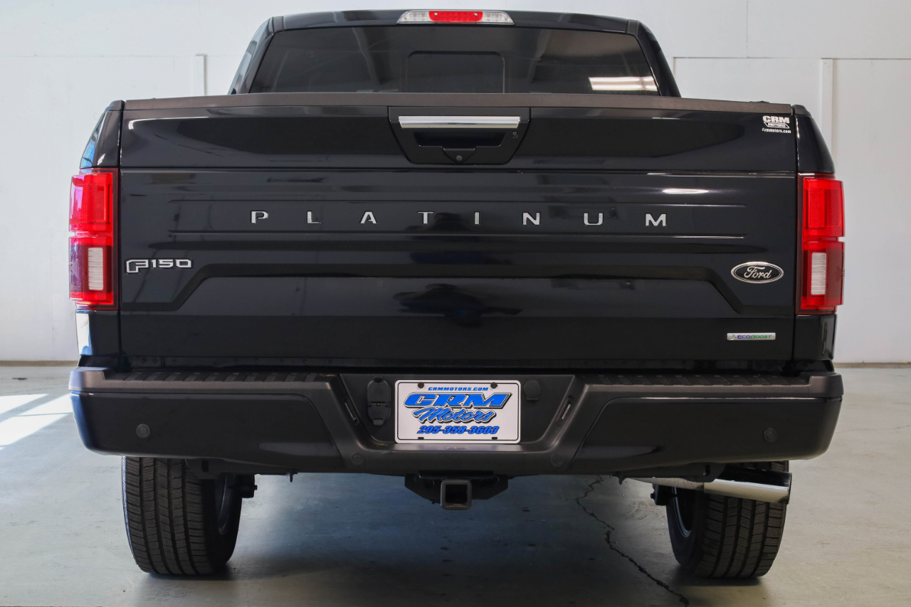 2019 Ford F-150 Platinum photo 4