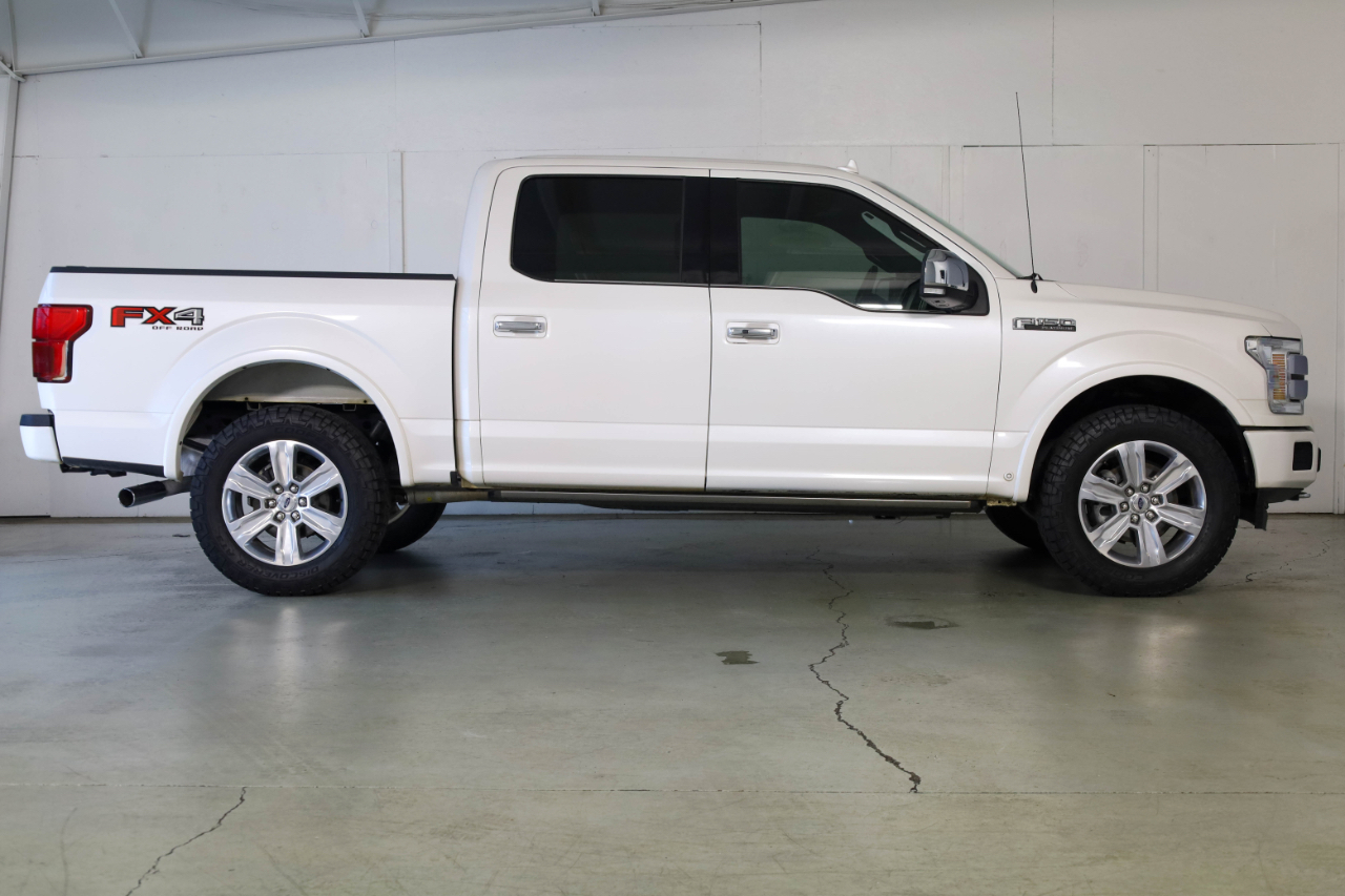 2019 Ford F-150 Platinum photo 3