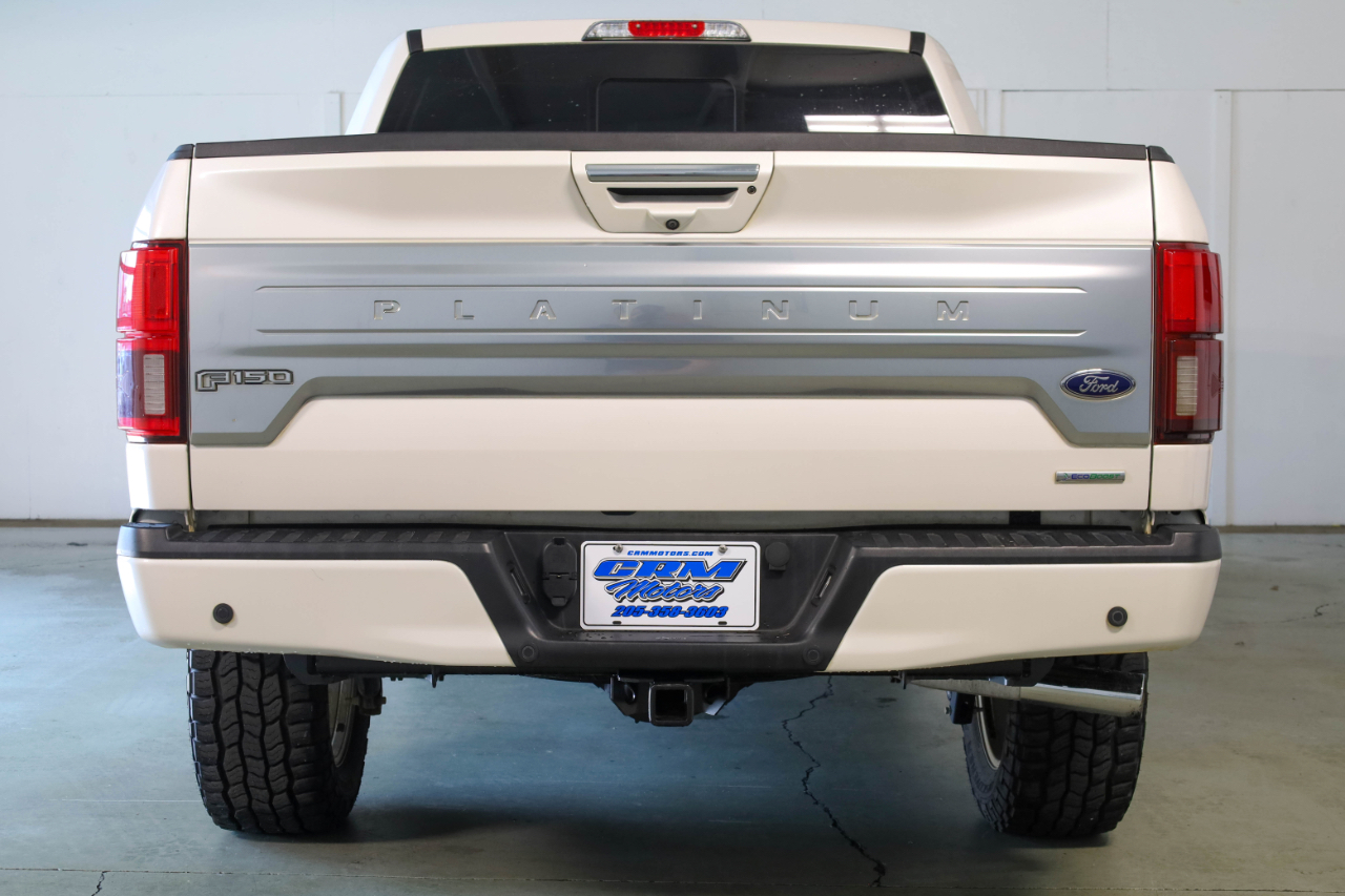 2019 Ford F-150 Platinum photo 4