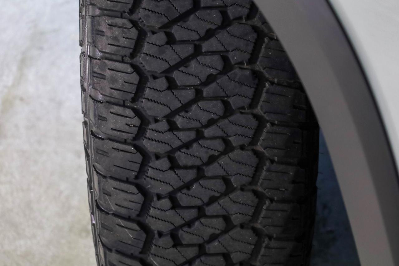 Toyota Tundra 4WD SR5 CrewMax 6.5' Bed (Natl) 2022