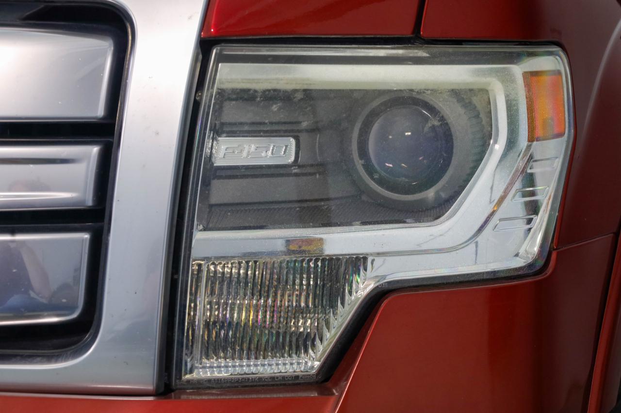 Ford F-150 4WD SuperCrew 145" Platinum 2013