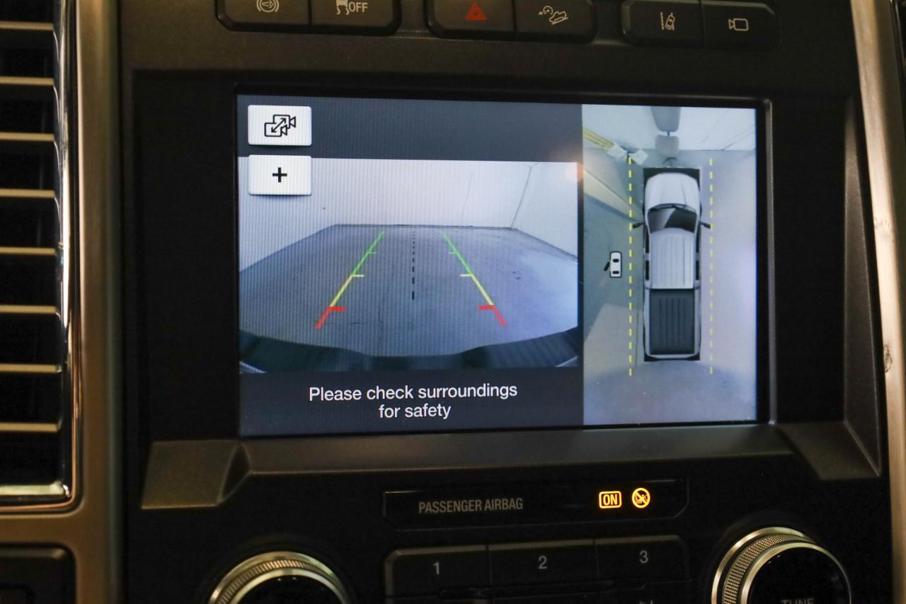 Ford Super Duty F-250 SRW Platinum 4WD Crew Cab 8' Box 2017