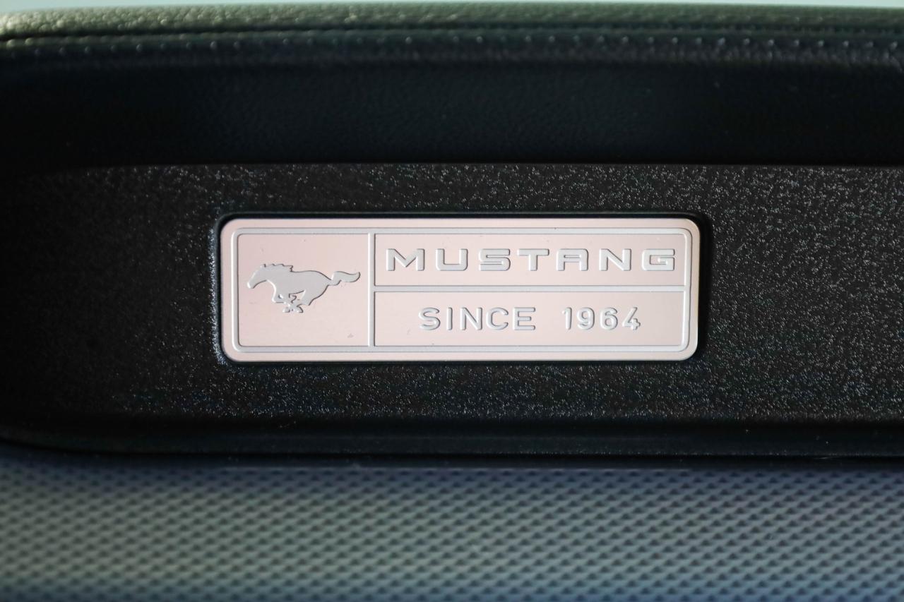 Ford Mustang GT Fastback 2017