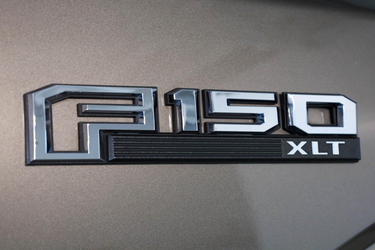 Ford F-150 4WD SuperCrew 145" XLT 2019