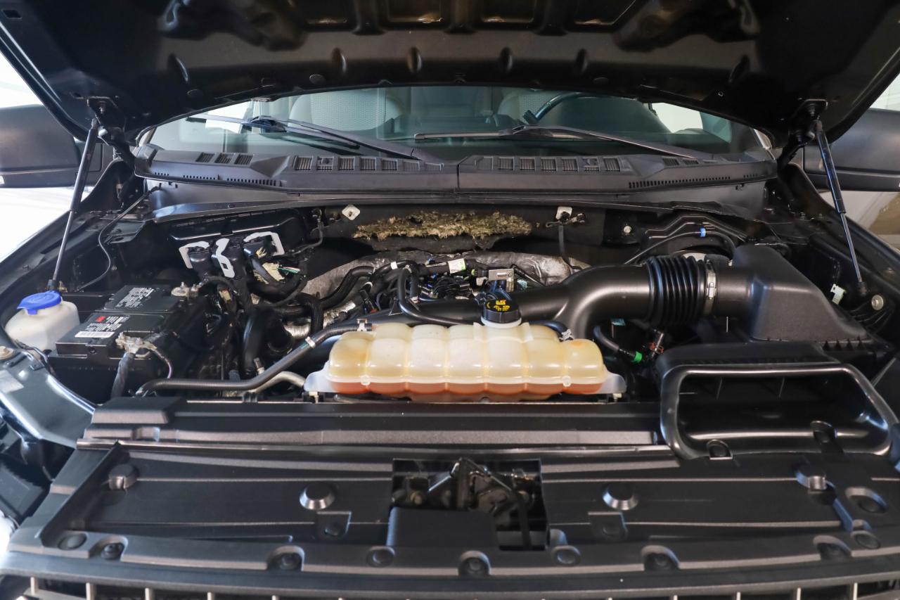 Ford F-150 4WD SuperCrew 145" XLT 2019