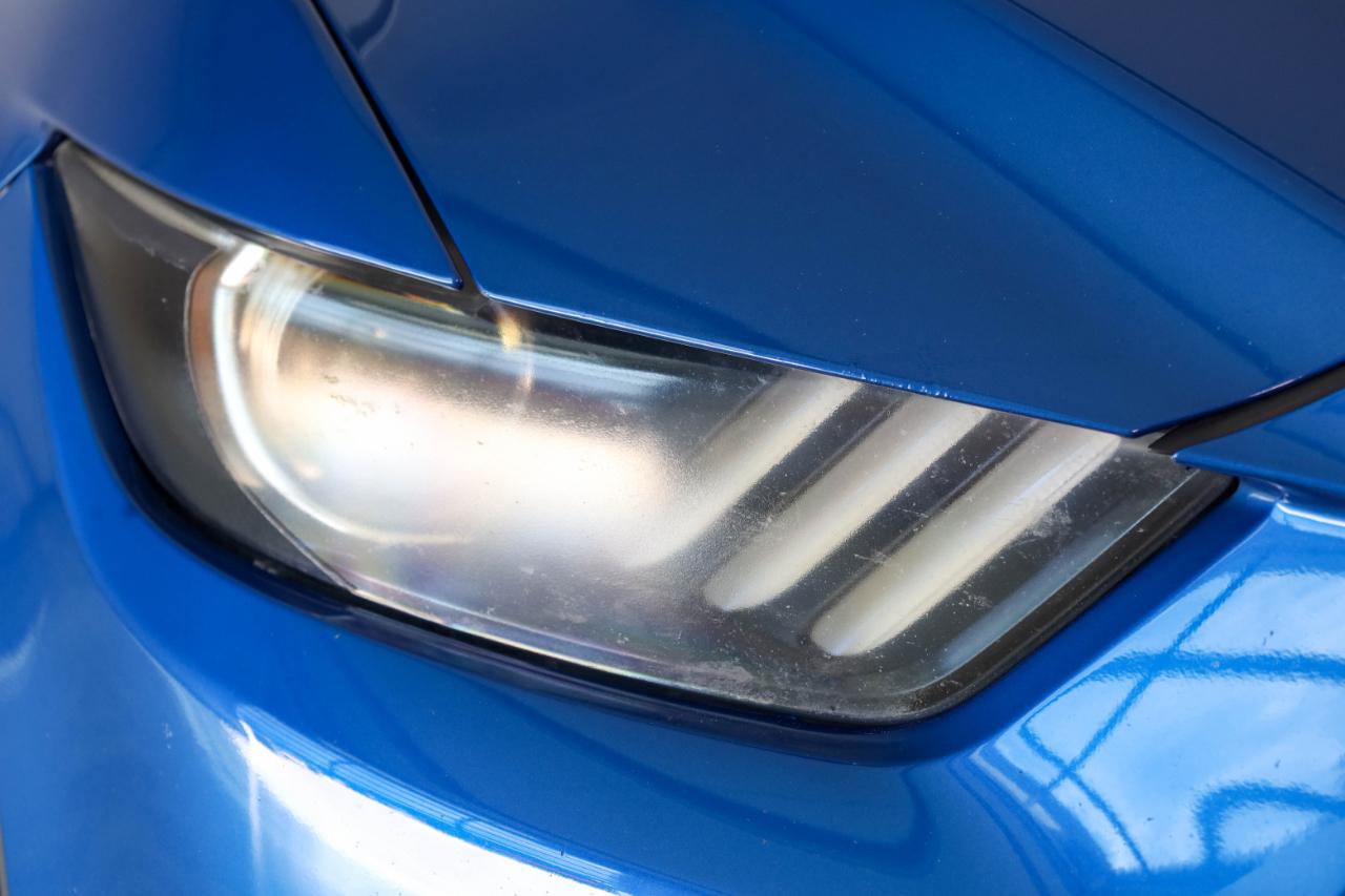 Ford Mustang photo 10