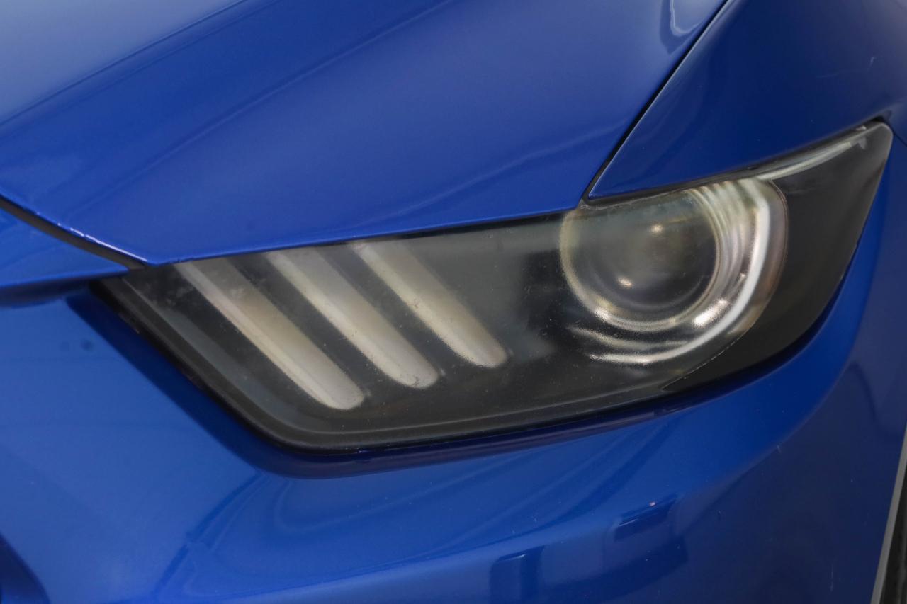 Ford Mustang photo 13