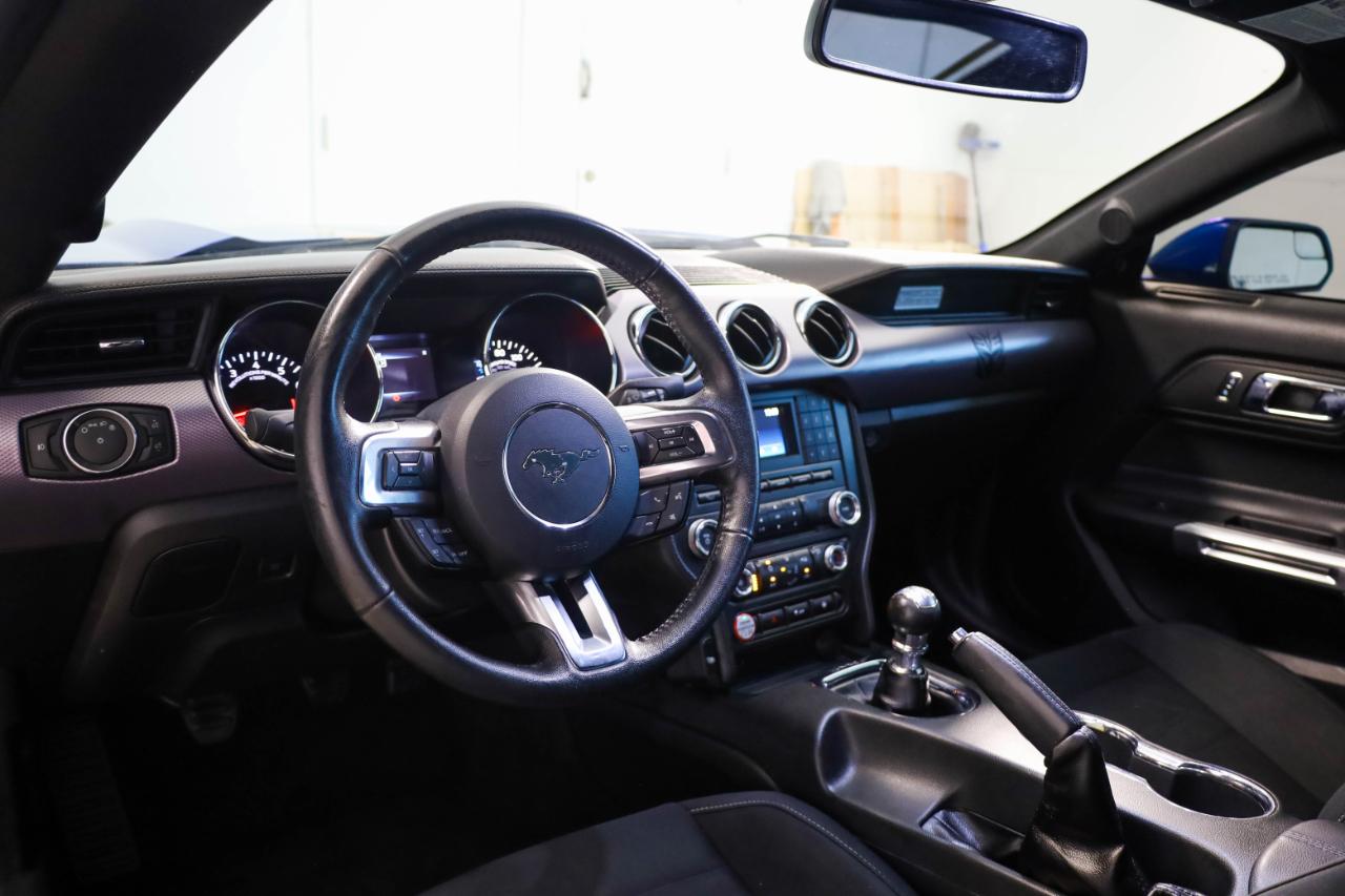 Ford Mustang photo 11