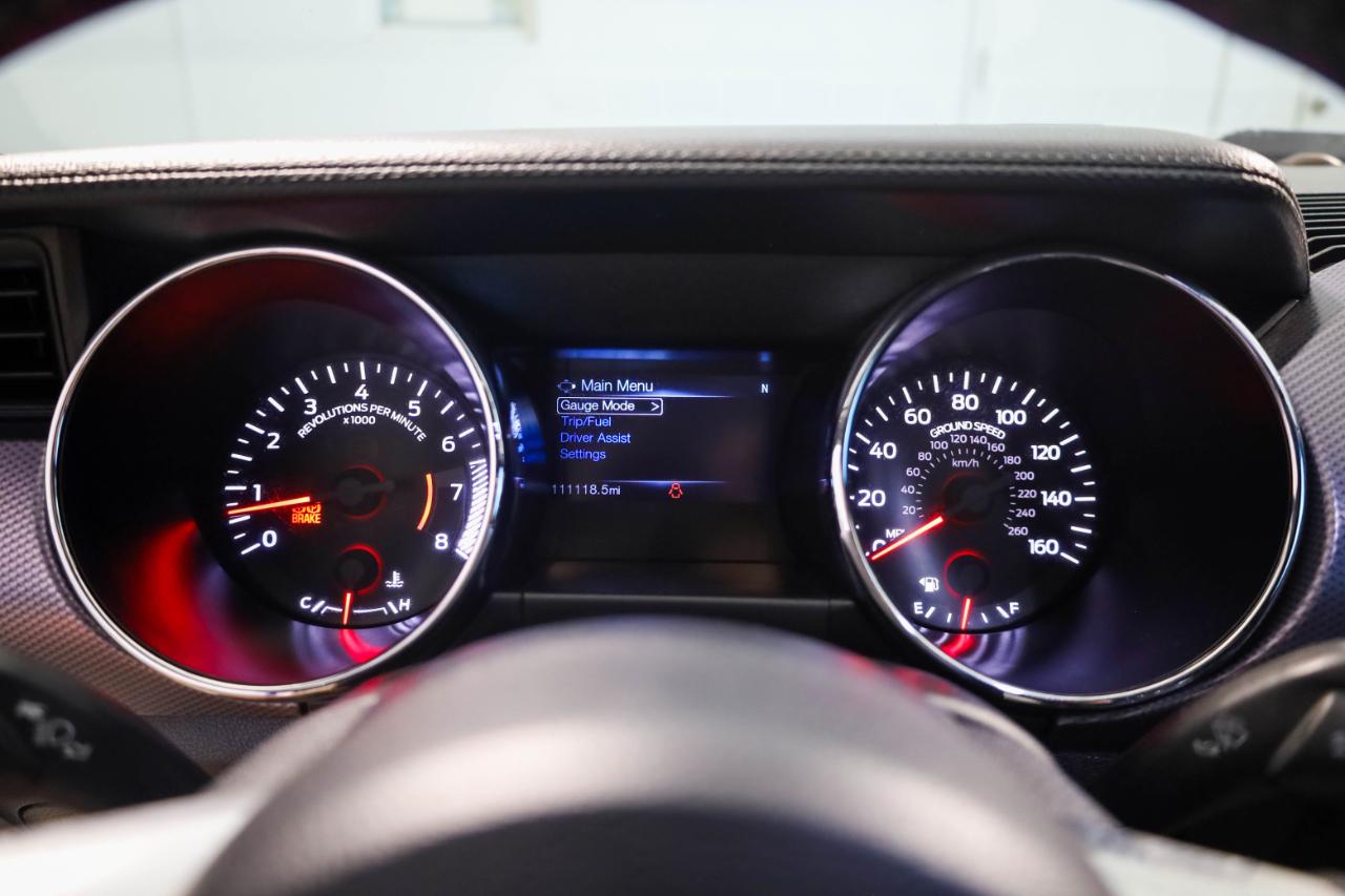 Ford Mustang photo 21