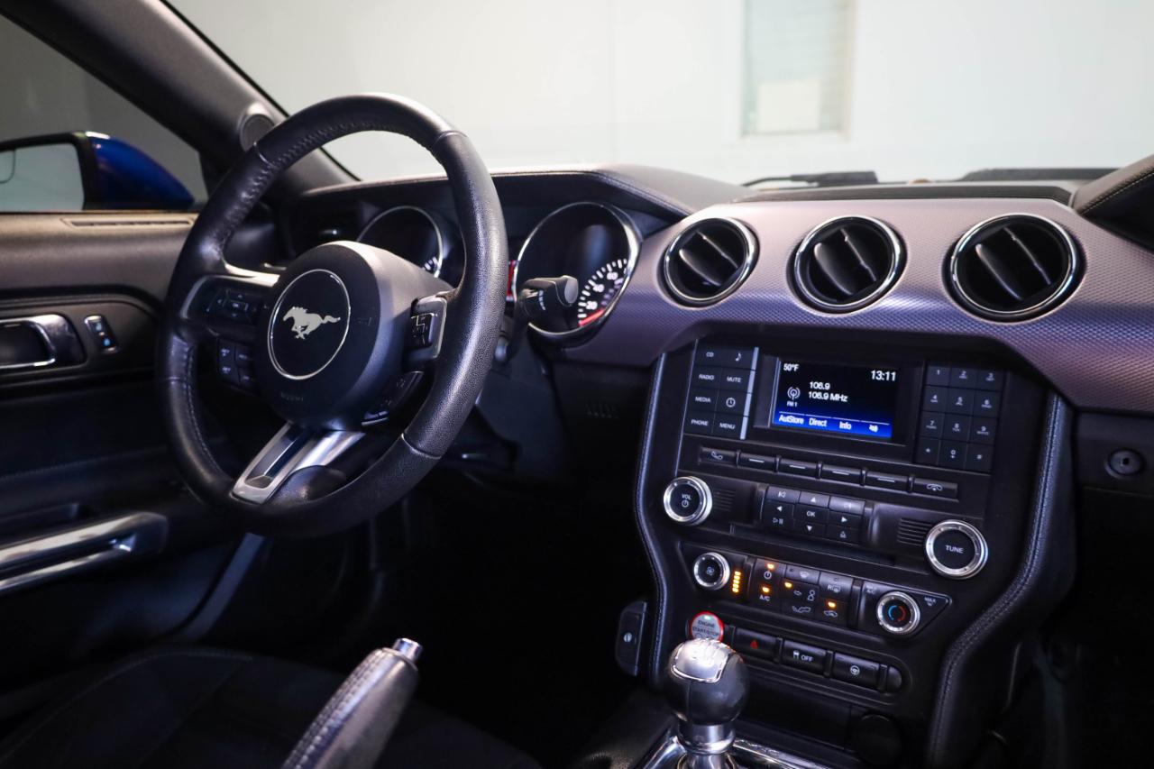 Ford Mustang photo 14