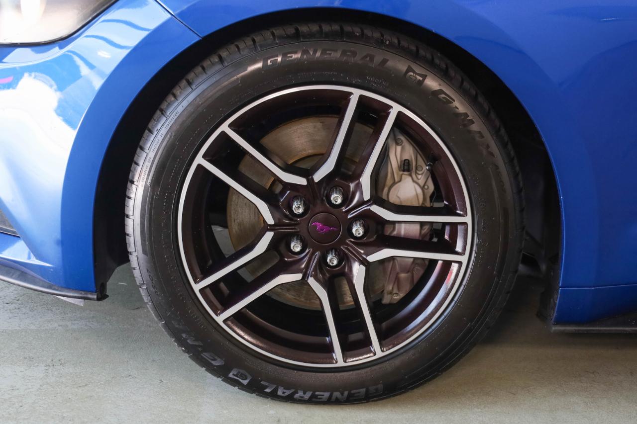Ford Mustang photo 40