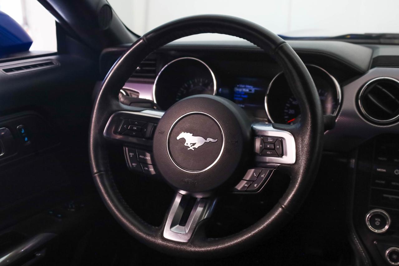 Ford Mustang photo 20