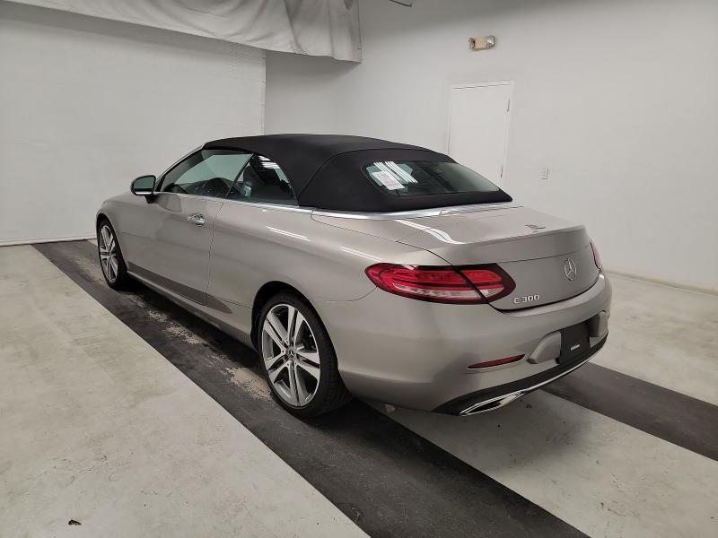 Mercedes-Benz C-Class C 300 Cabriolet 2019