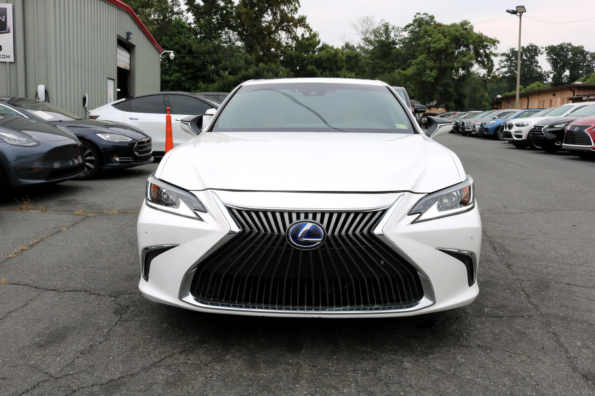 2021 Lexus ES 300h photo 5