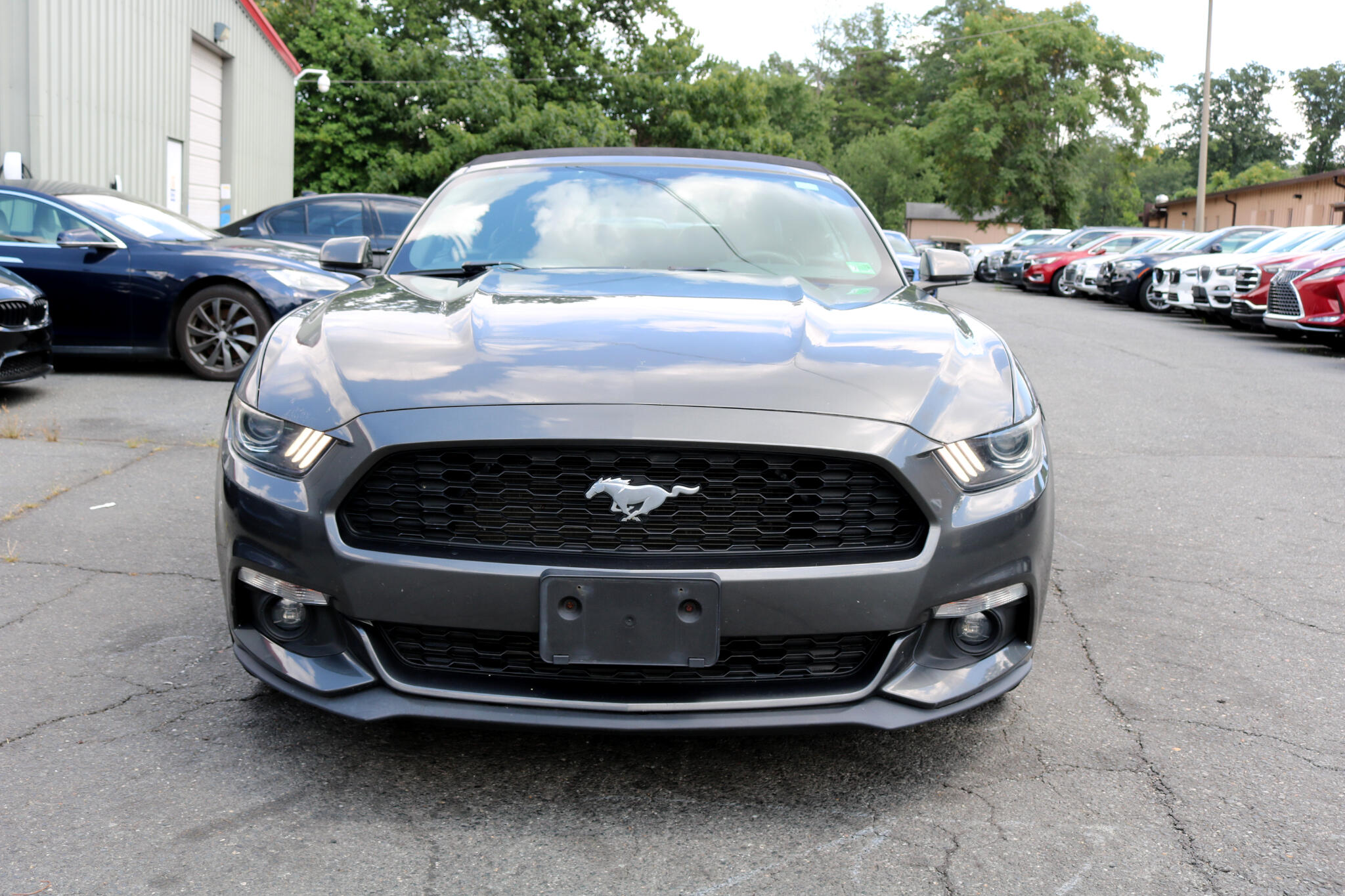 2017 Ford Mustang EcoBoost Premium Convertible photo 6