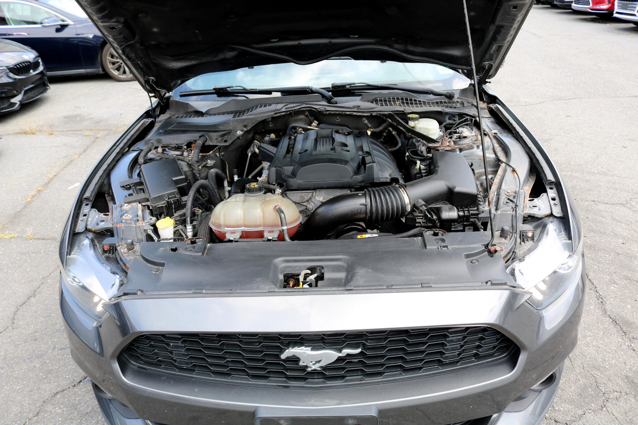 2017 Ford Mustang EcoBoost Premium Convertible photo 48