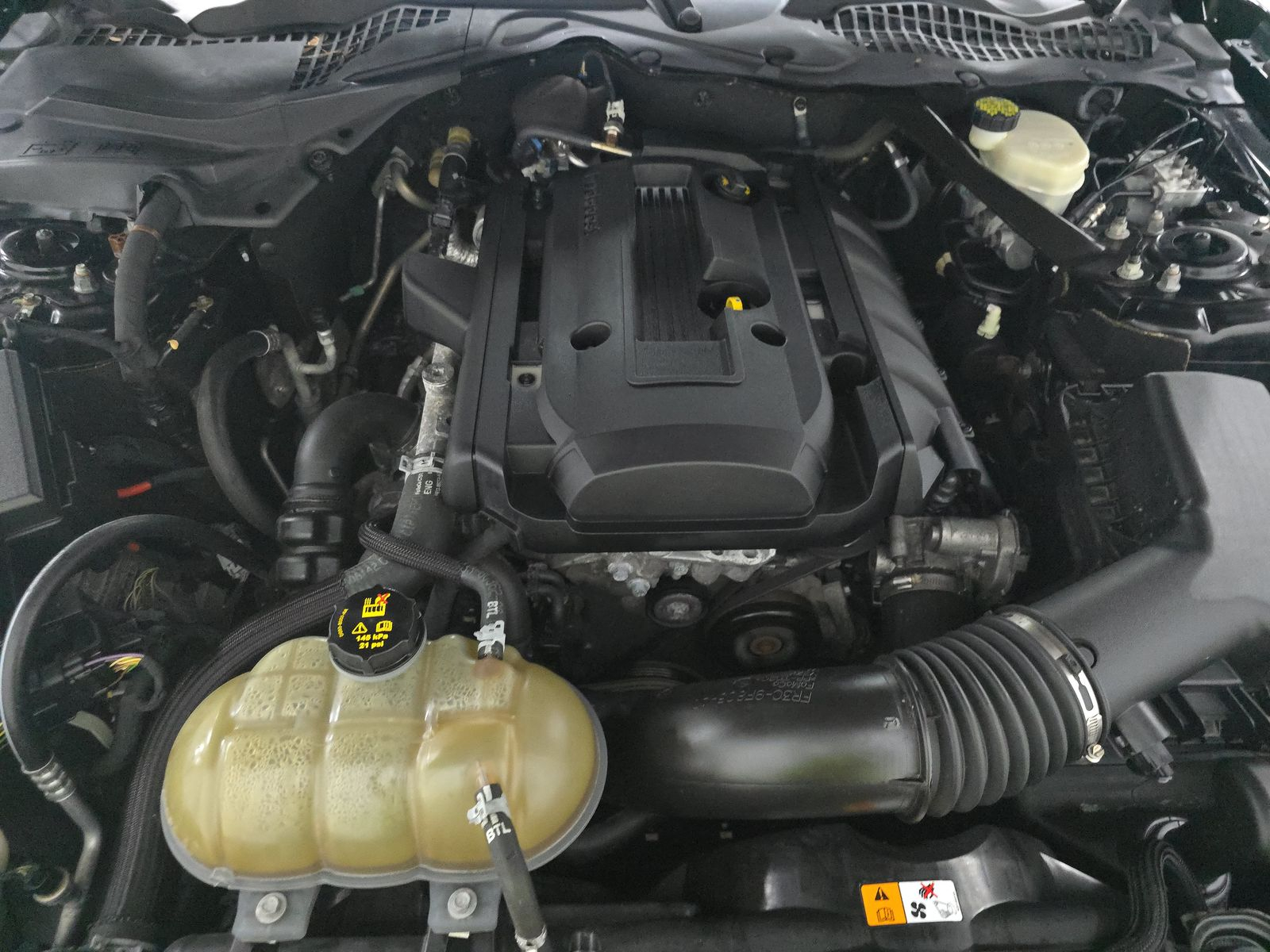 Ford Mustang EcoBoost Fastback 2017 Ford Mustang EcoBoost Fastback 2017