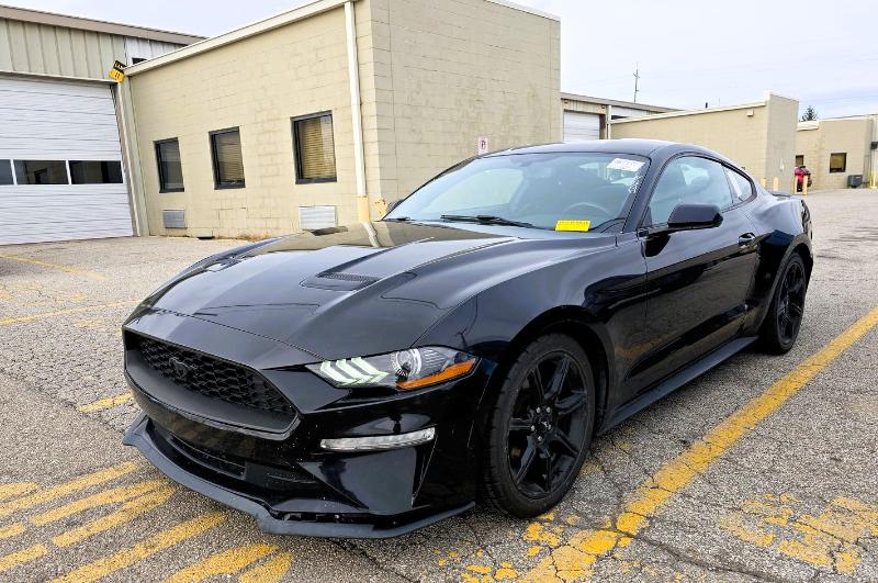 Ford Mustang EcoBoost Fastback 2019