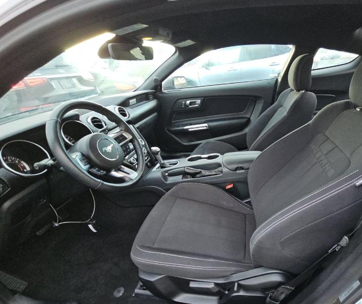 Ford Mustang EcoBoost Fastback 2019