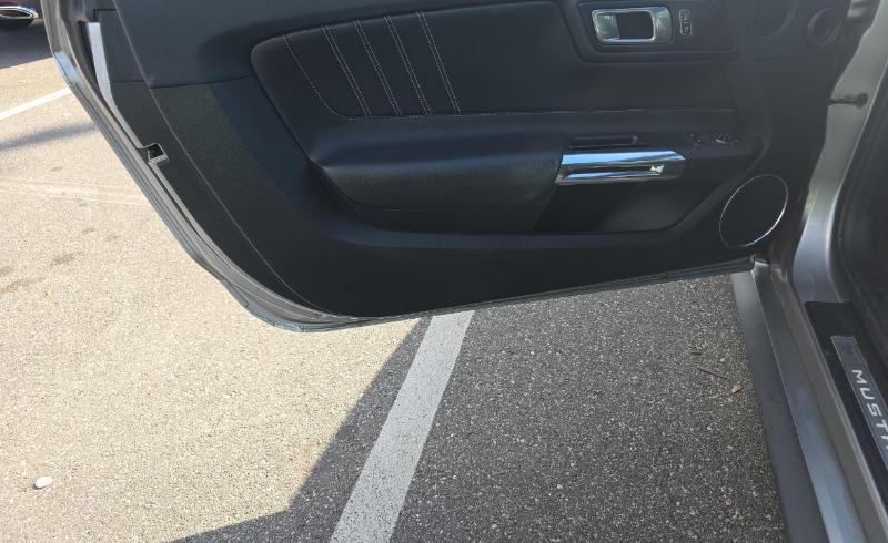 Ford Mustang EcoBoost Fastback 2020