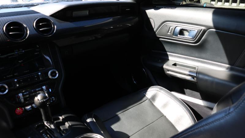 Ford Mustang EcoBoost Fastback 2018