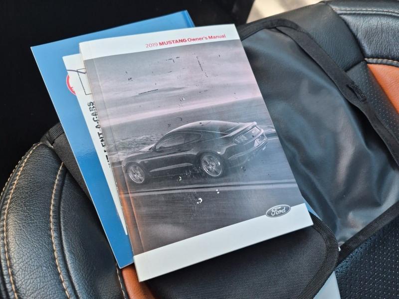 Ford Mustang GT Premium Fastback 2019