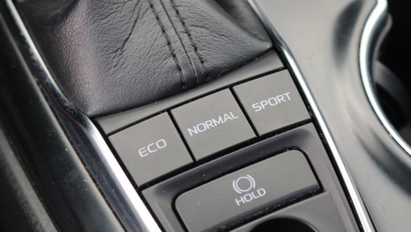 Toyota Camry XLE Auto (Natl) 2019