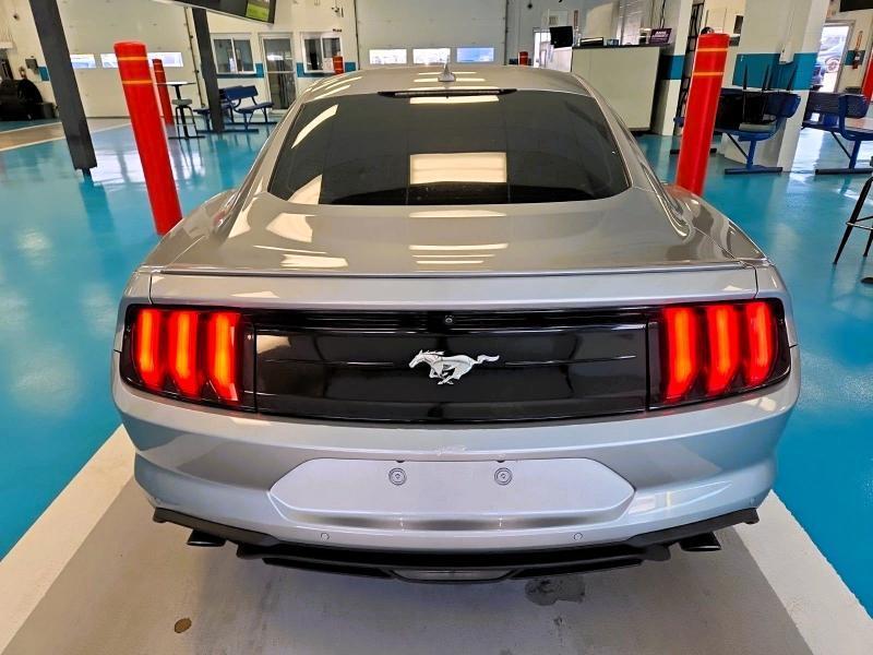 Ford Mustang EcoBoost Premium Fastback 2020