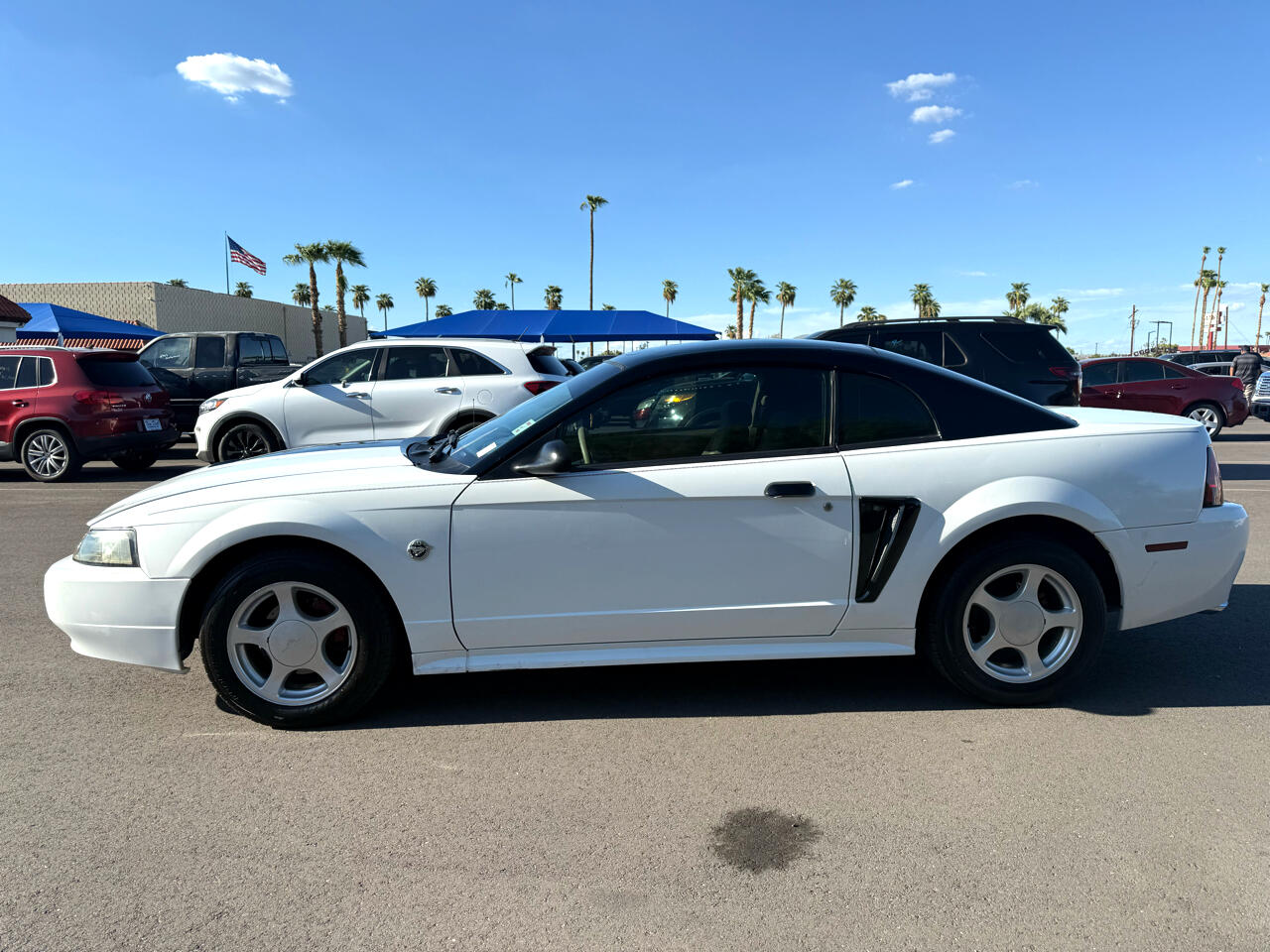 2004 Ford Mustang Premium photo 6