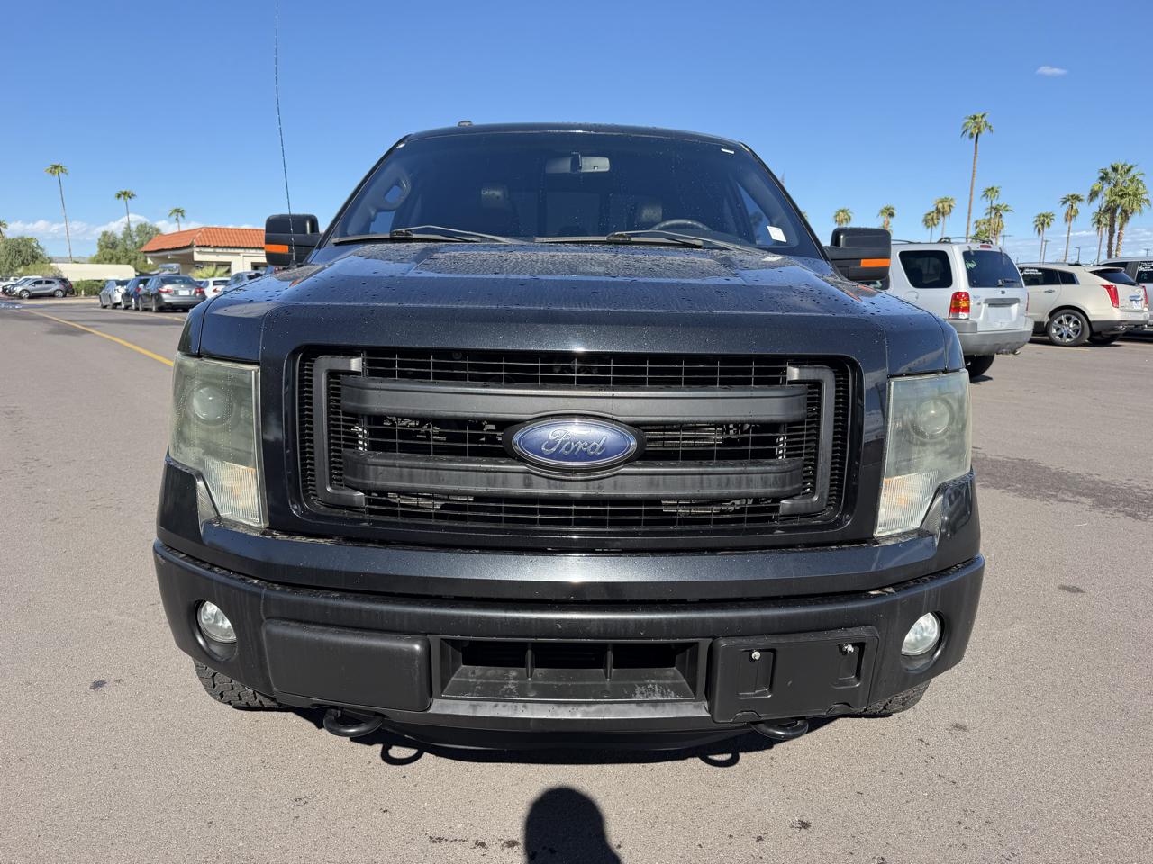 Ford F-150 4WD SuperCrew 145" FX4 2014