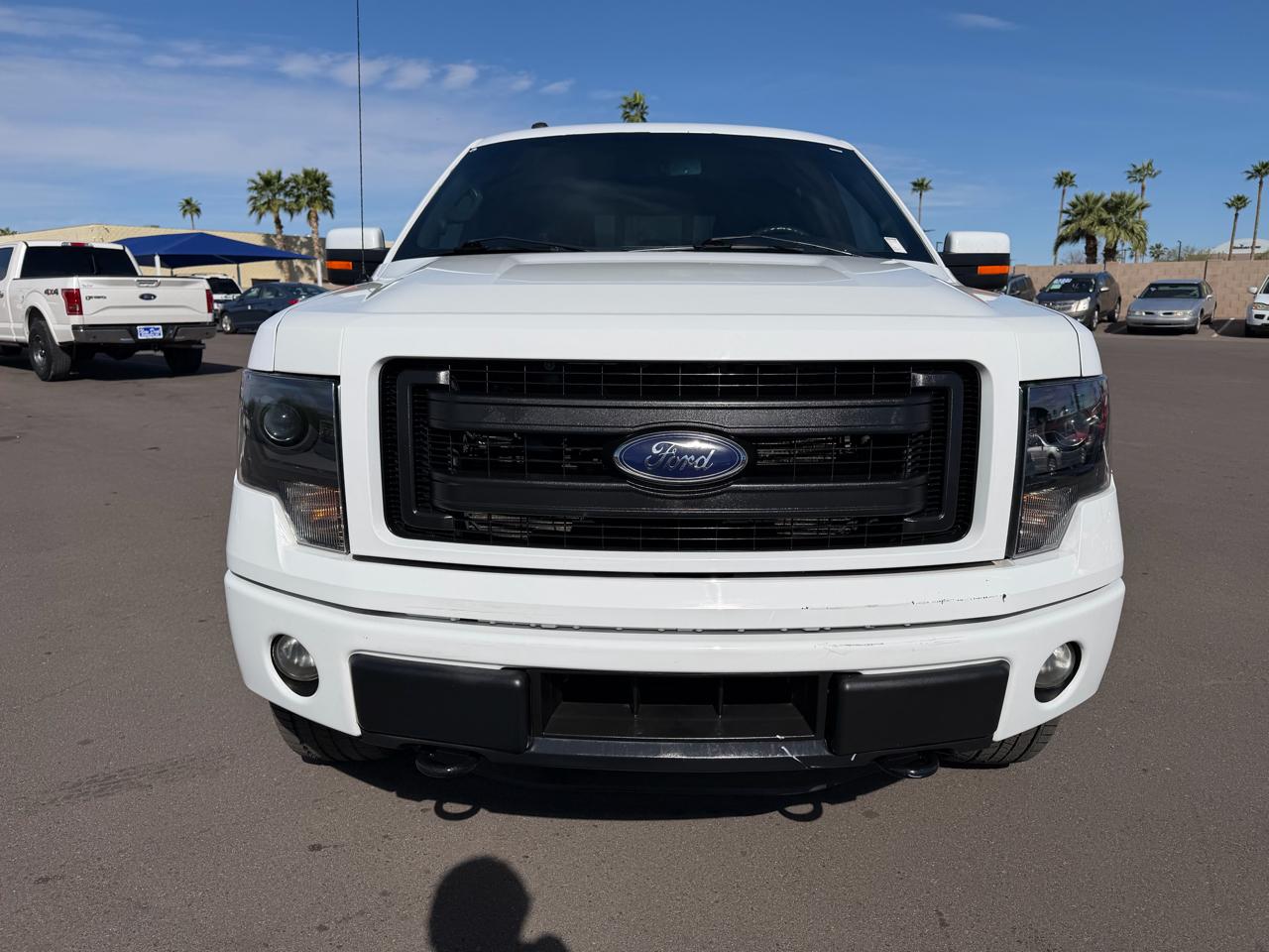 Ford F-150 4WD SuperCrew 157" FX4 2014