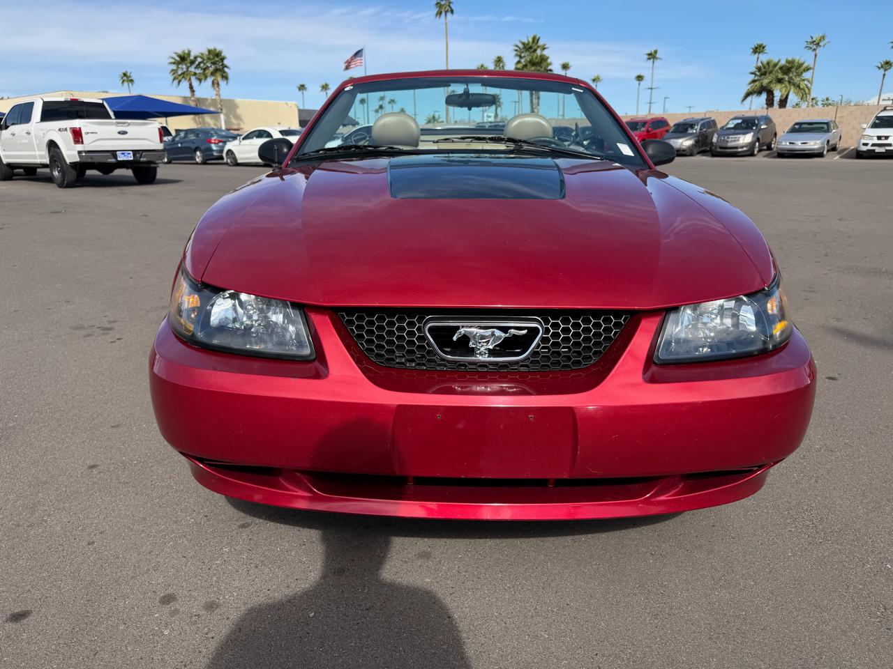Ford Mustang Deluxe Convertible 2004
