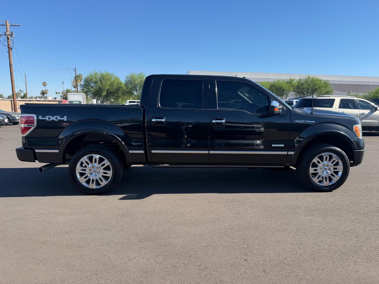 Ford F-150 4WD SuperCrew 145" Platinum 2012