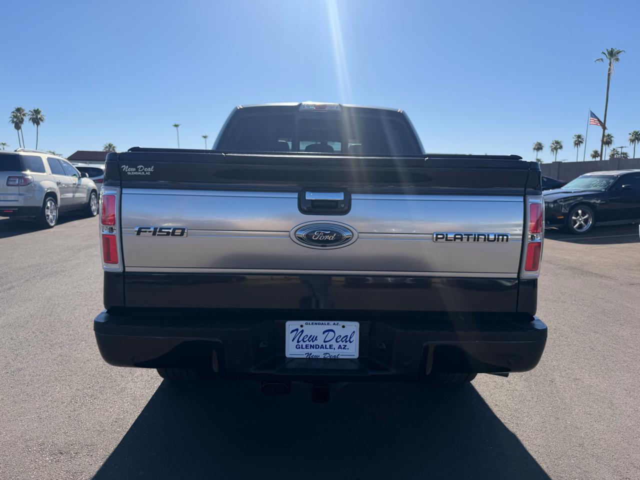 Ford F-150 4WD SuperCrew 145" Platinum 2012