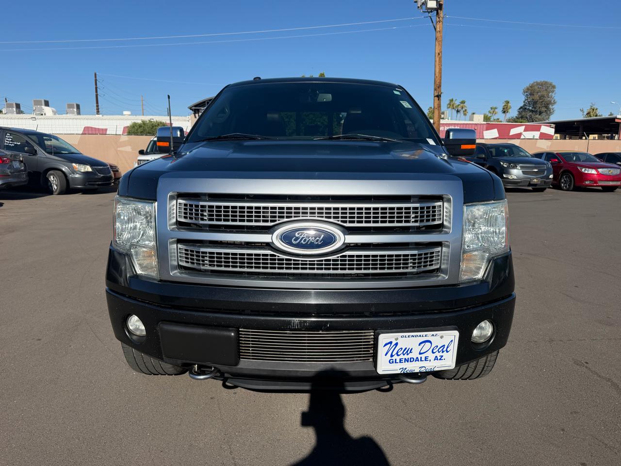 Ford F-150 4WD SuperCrew 145" Platinum 2012