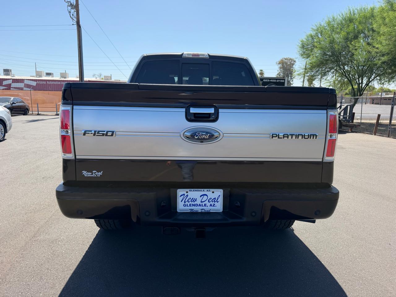 Ford F-150 4WD SuperCrew 145" Platinum 2013