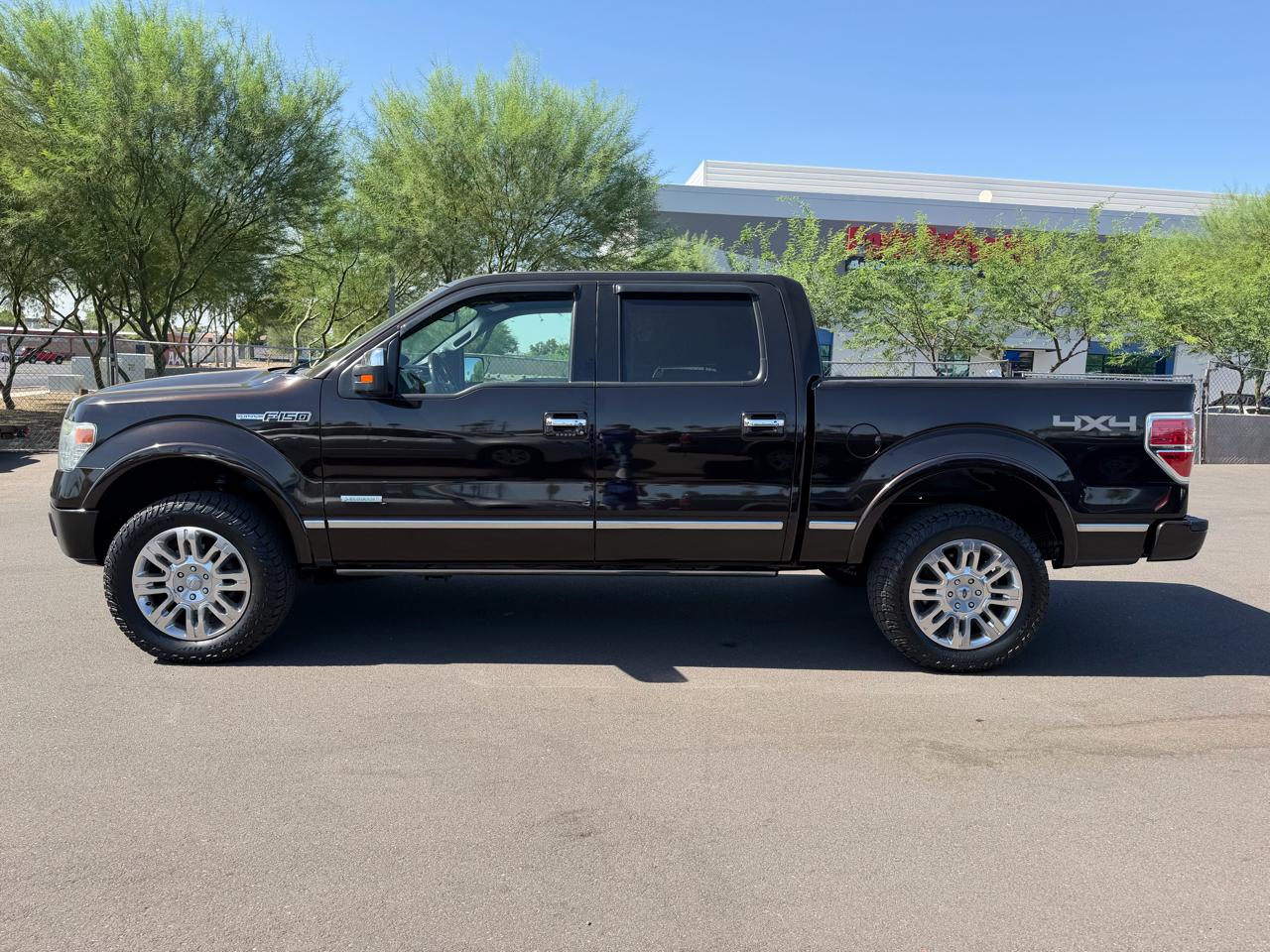 Ford F-150 4WD SuperCrew 145" Platinum 2013
