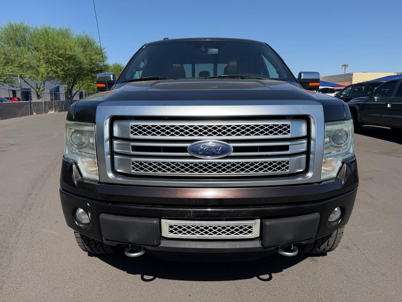 Ford F-150 4WD SuperCrew 145" Platinum 2013