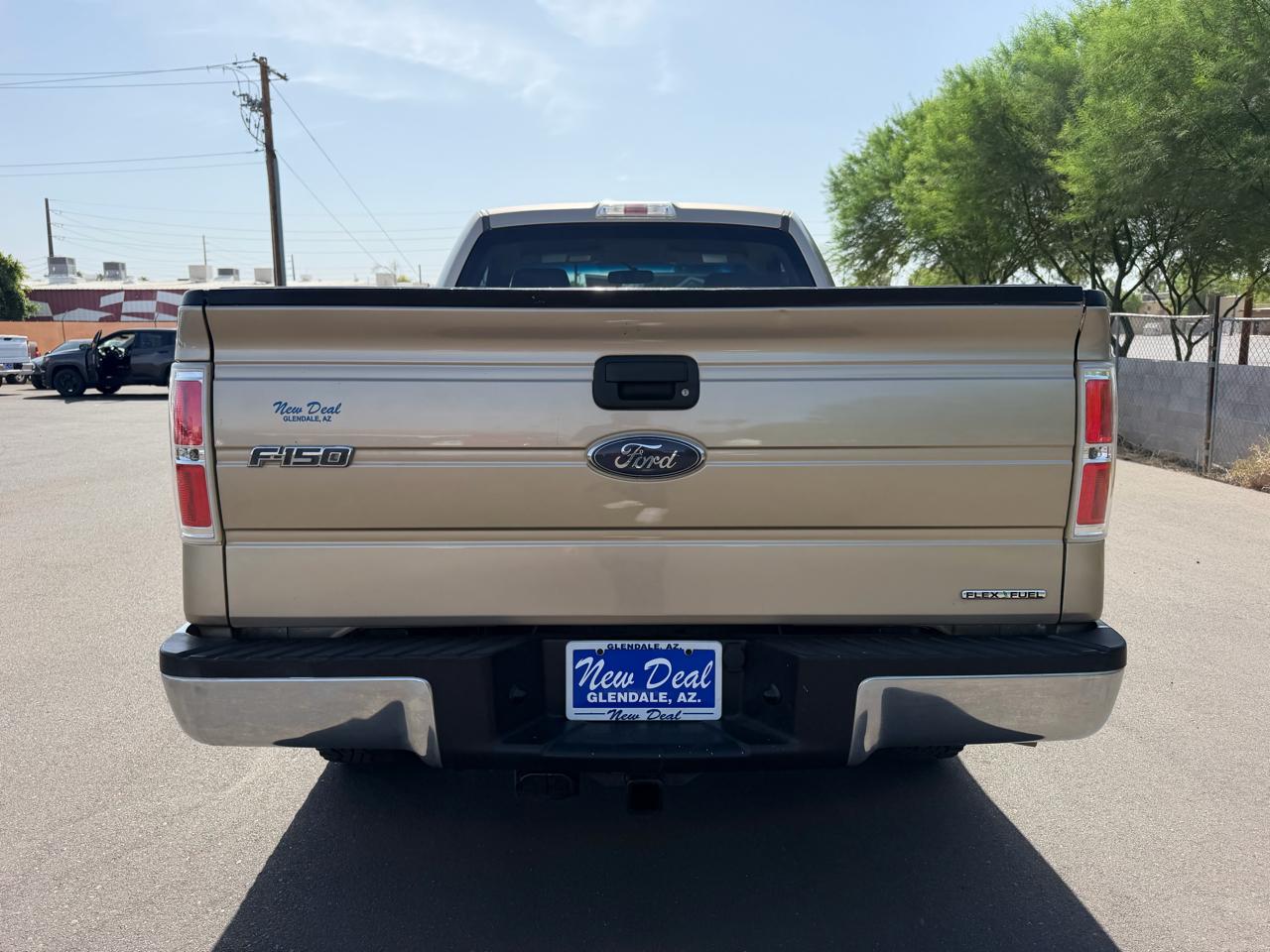 Ford F-150 2WD Reg Cab 126" XL 2013