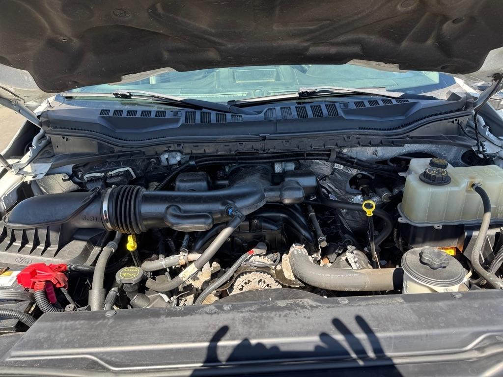 Ford F-550  2019