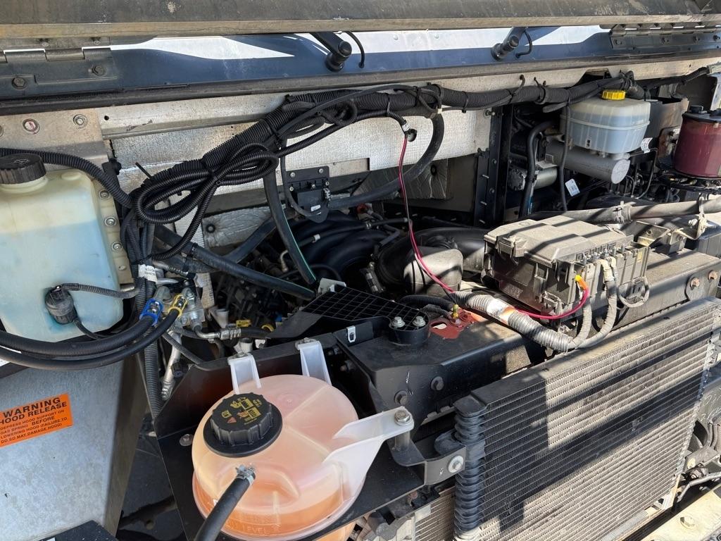 Ford Stripped Chassis  2020