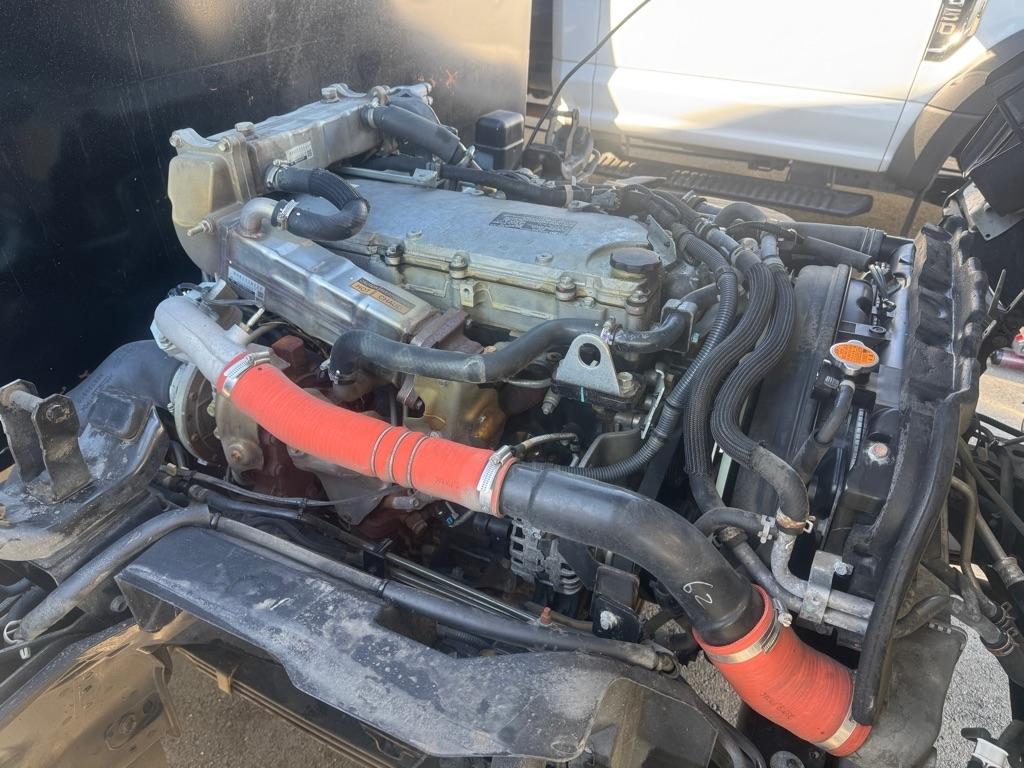 Isuzu NQR  2019