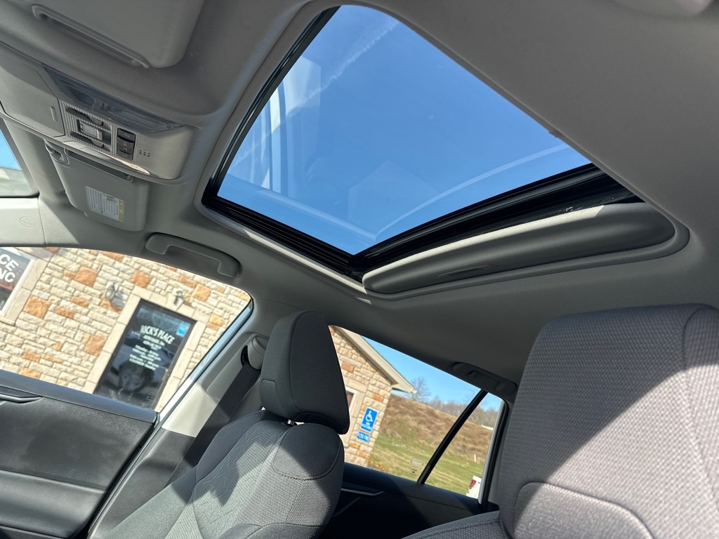 Toyota RAV4 XLE AWD (Natl) 2022