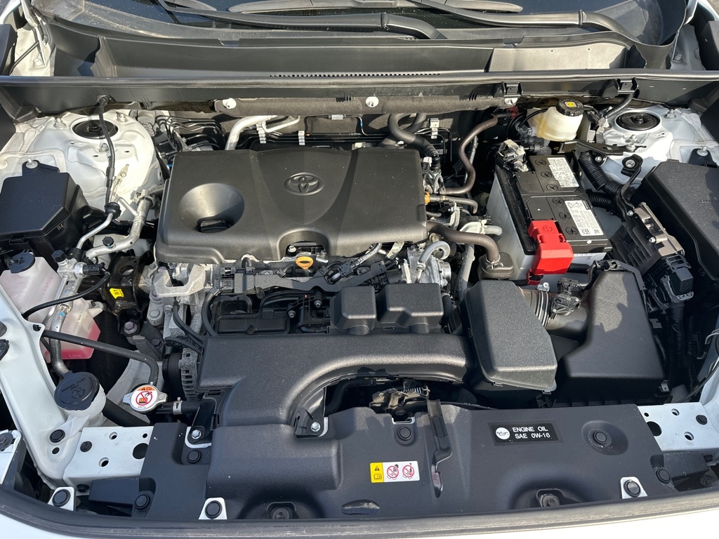 Toyota RAV4 XLE AWD (Natl) 2022