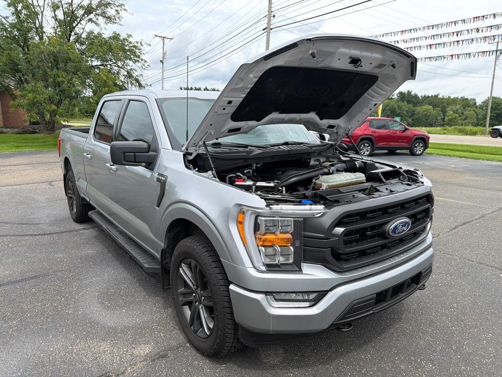 Ford F-150 XLT SuperCrew 6.5-ft Box 4WD 2023