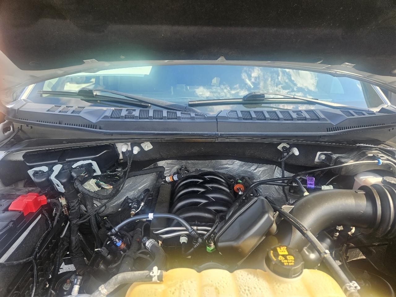 Ford F-150 XLT SuperCrew 6.5-ft. Bed 4WD 2020