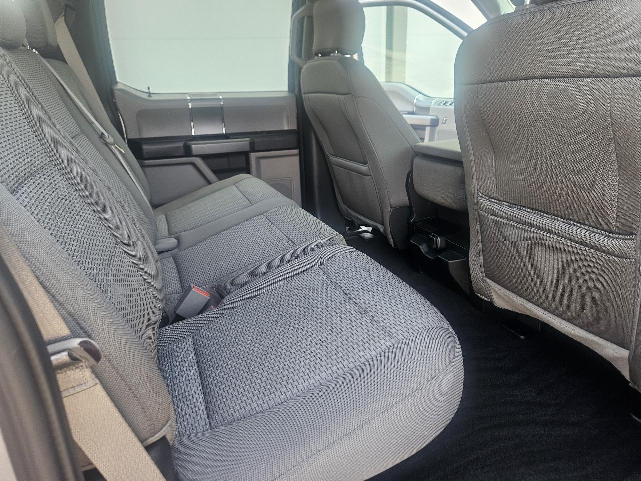 Ford F-150 XLT SuperCrew 6.5-ft. Bed 4WD 2020